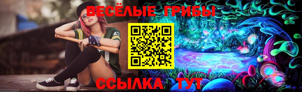 Галлюциногенные грибы Psilocybine cubensis  Вход с VPN  Печора 