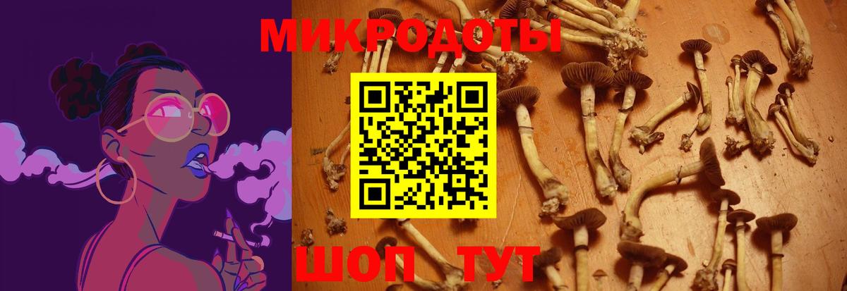 Галлюциногенные грибы мицелий Печора